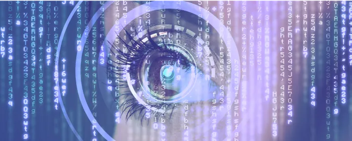 Computer Vision / AI 開発