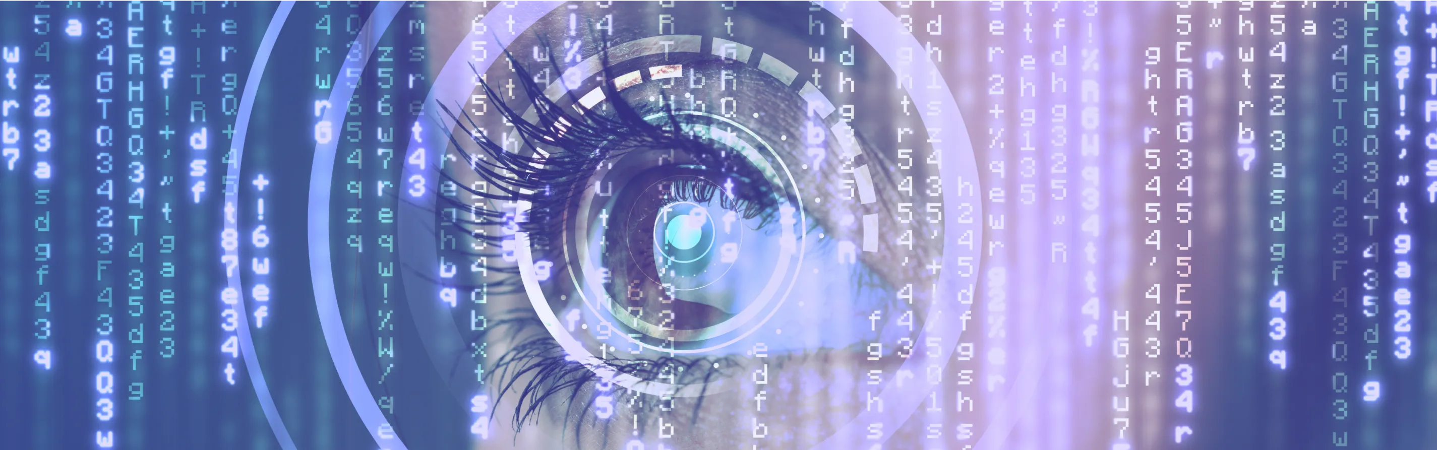 Computer Vision / AI 開発